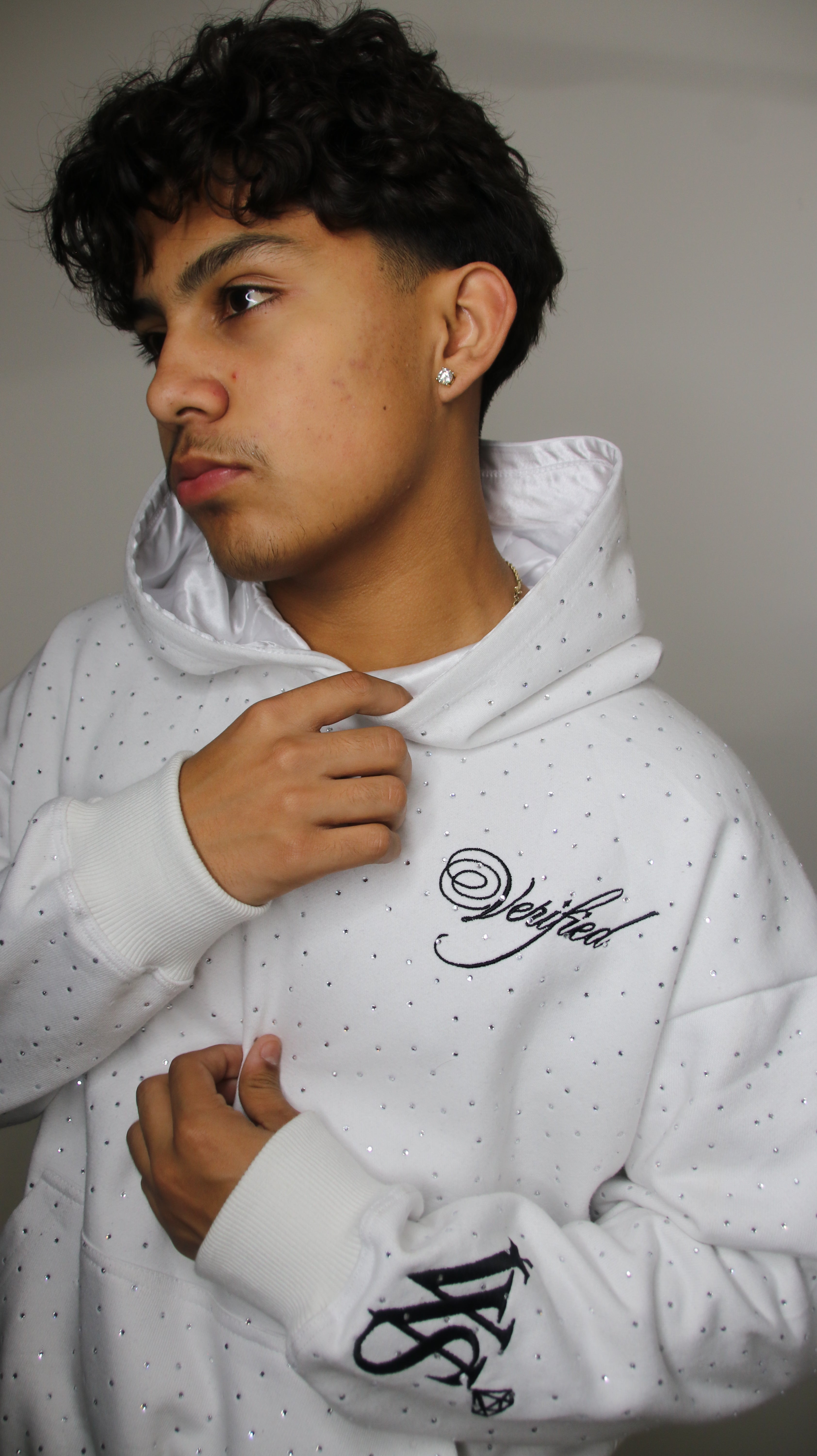 VERIFIED FROSTBITE HOODIE